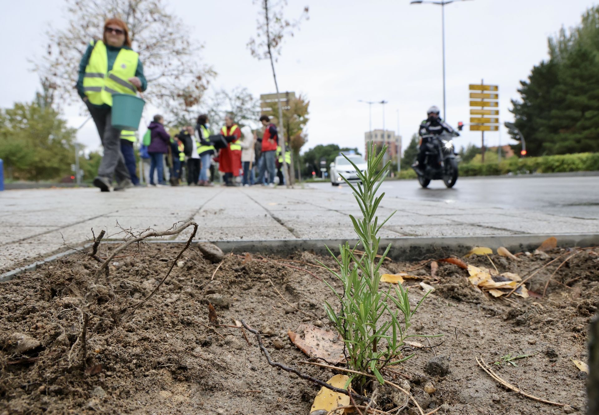Las imágenes de la plantación solidaria con motivo del Día de las Personas sin Hogar