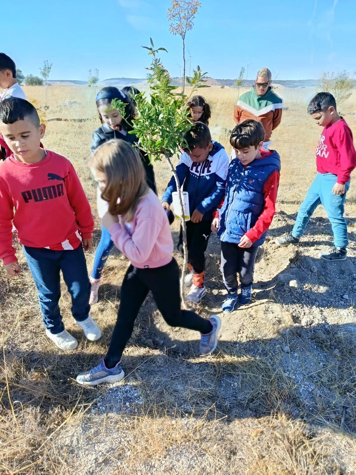 Plantación de Árboles en Baltanás