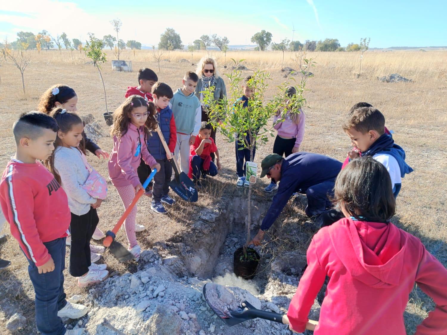Plantación de Árboles en Baltanás