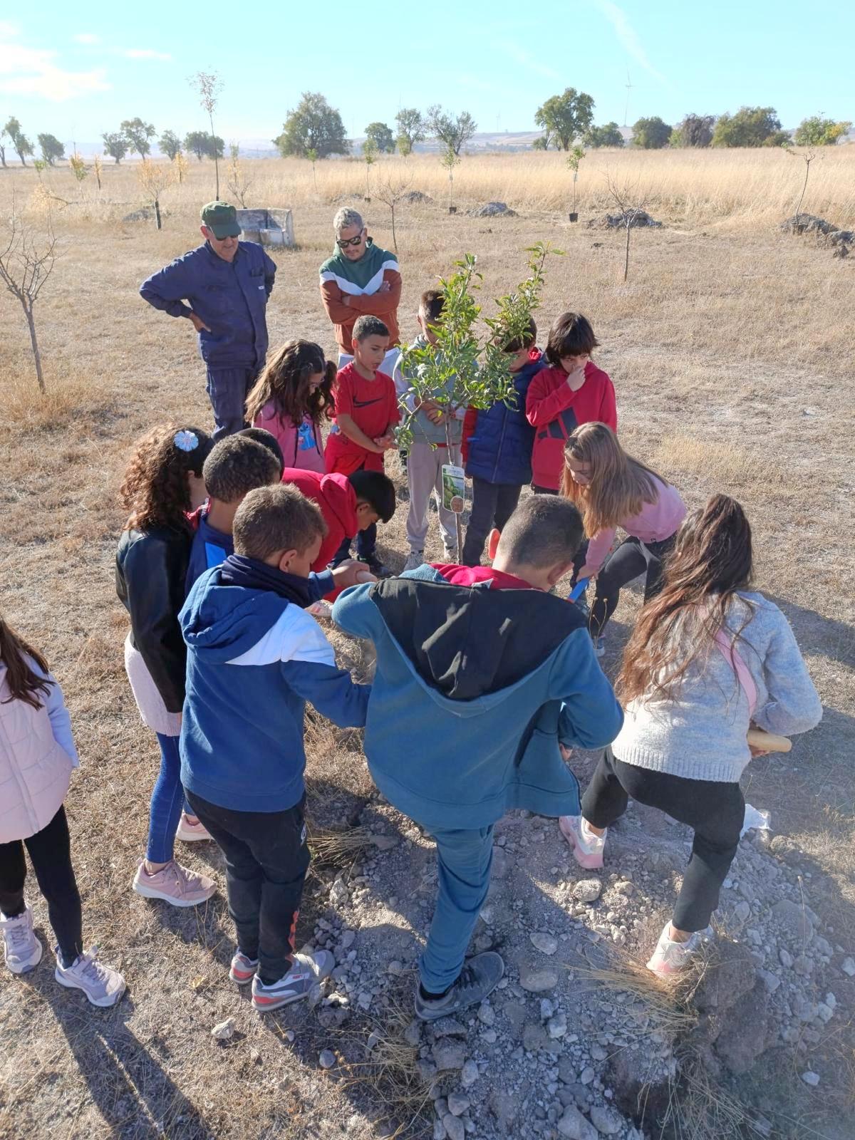 Plantación de Árboles en Baltanás