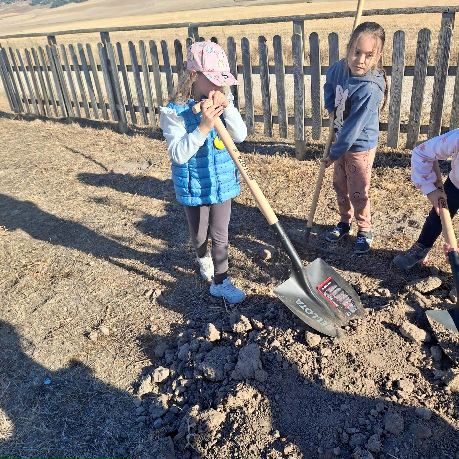 Plantación de Árboles en Baltanás
