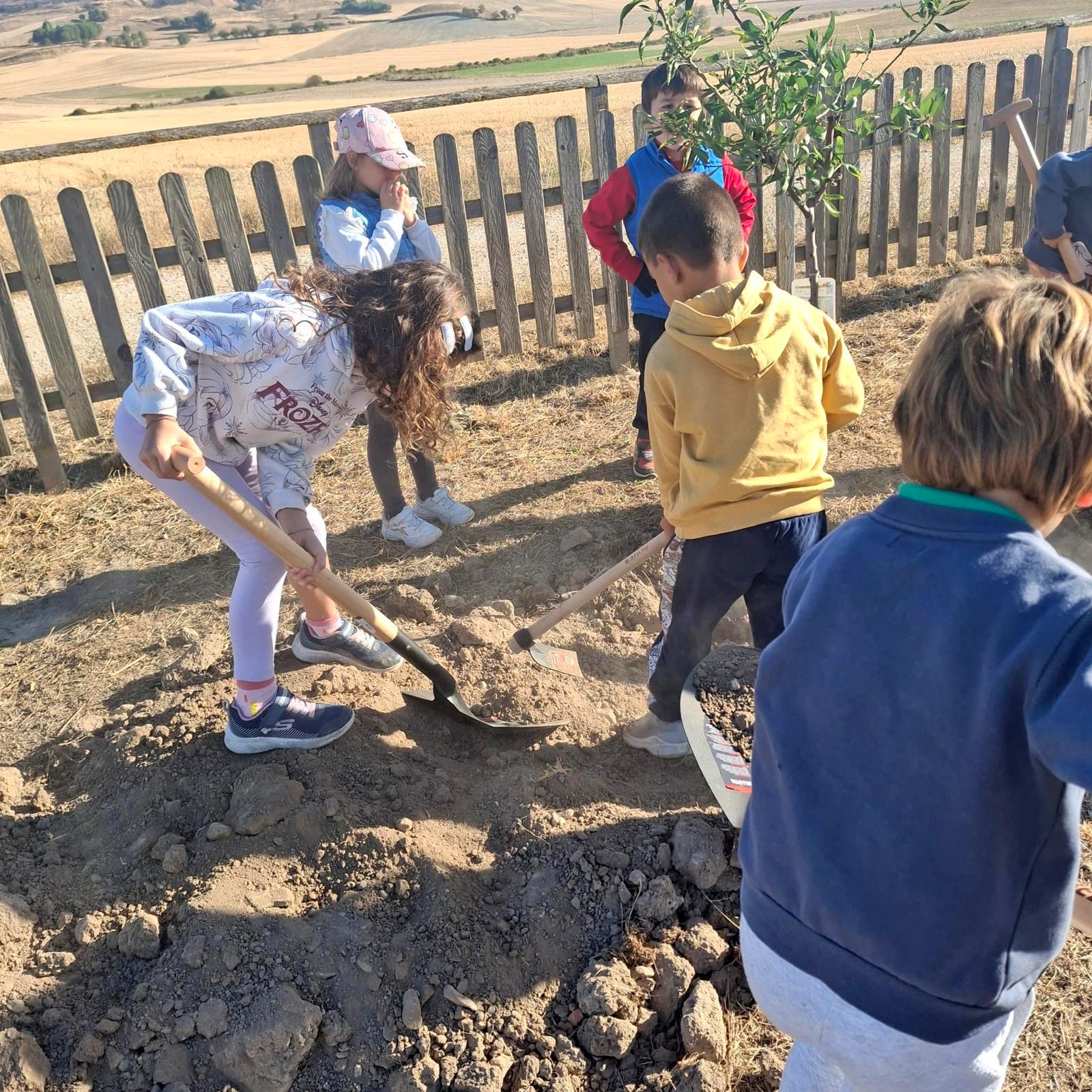 Plantación de Árboles en Baltanás