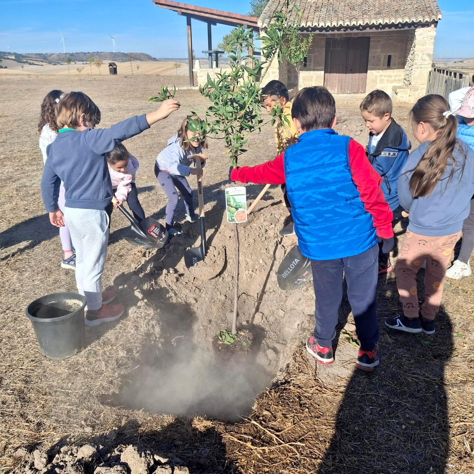 Plantación de Árboles en Baltanás