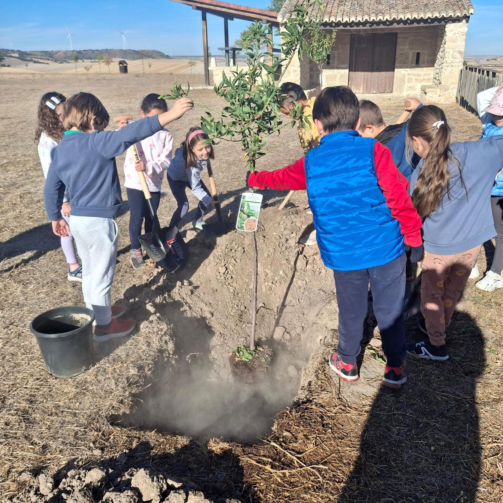 Plantación de Árboles en Baltanás