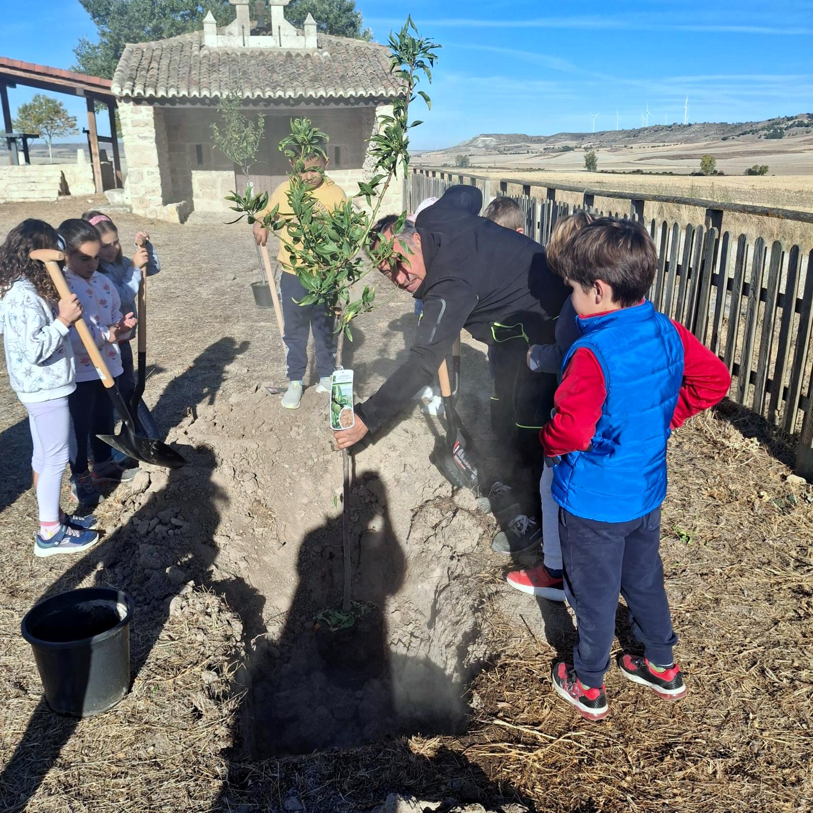 Plantación de Árboles en Baltanás