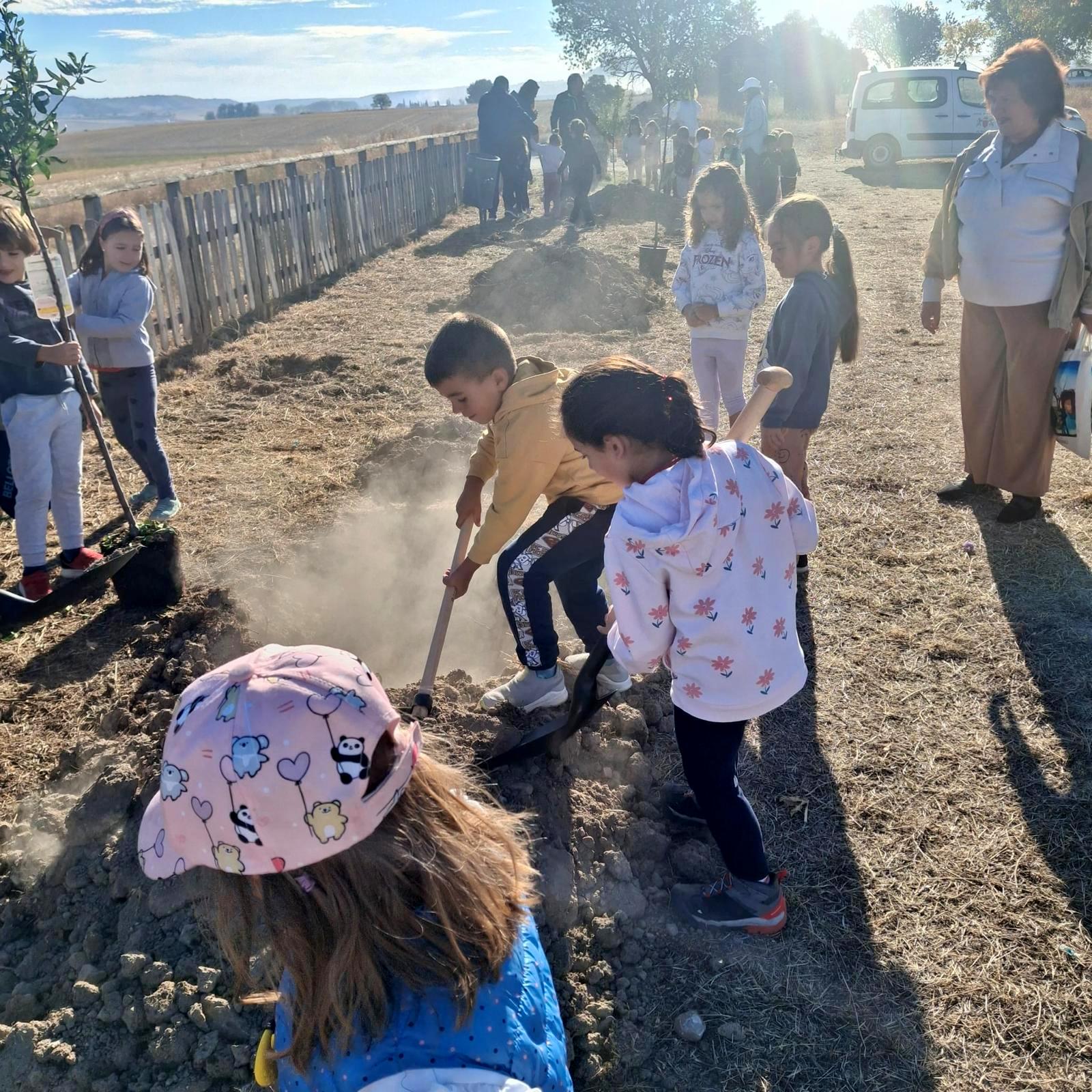 Plantación de Árboles en Baltanás