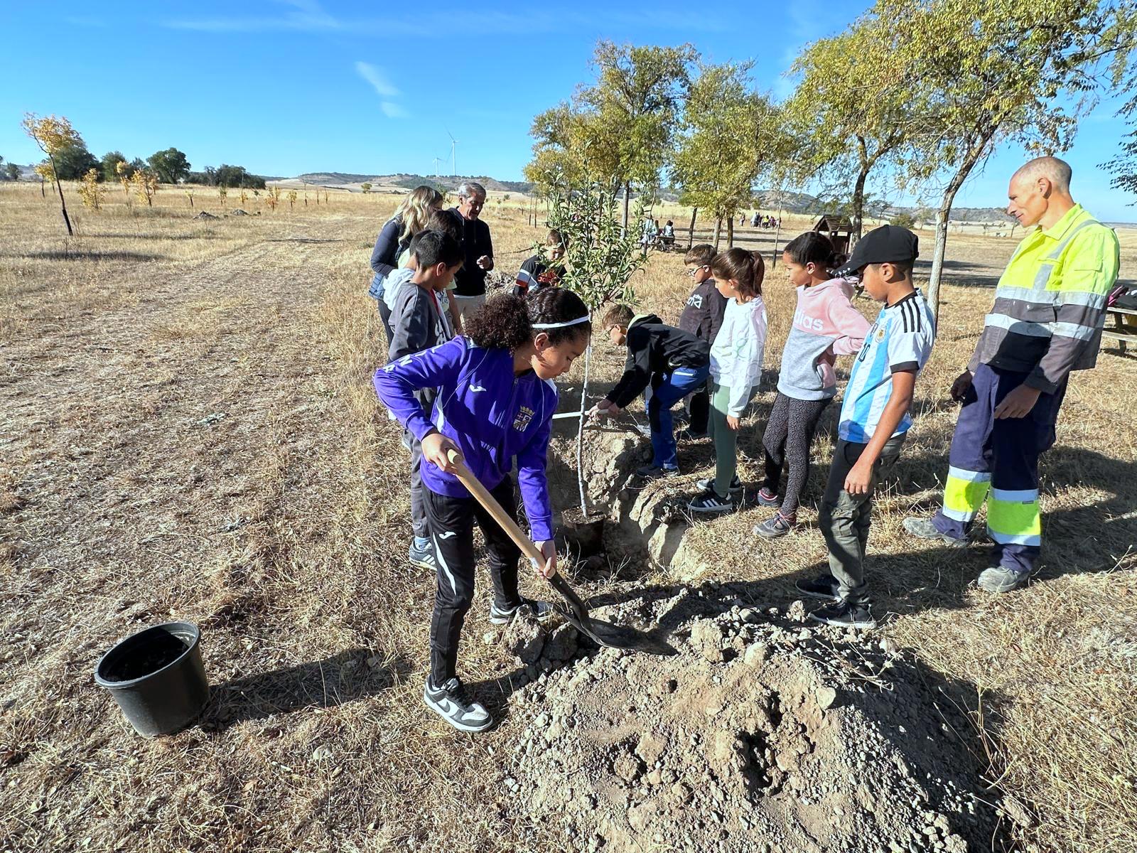 Plantación de Árboles en Baltanás