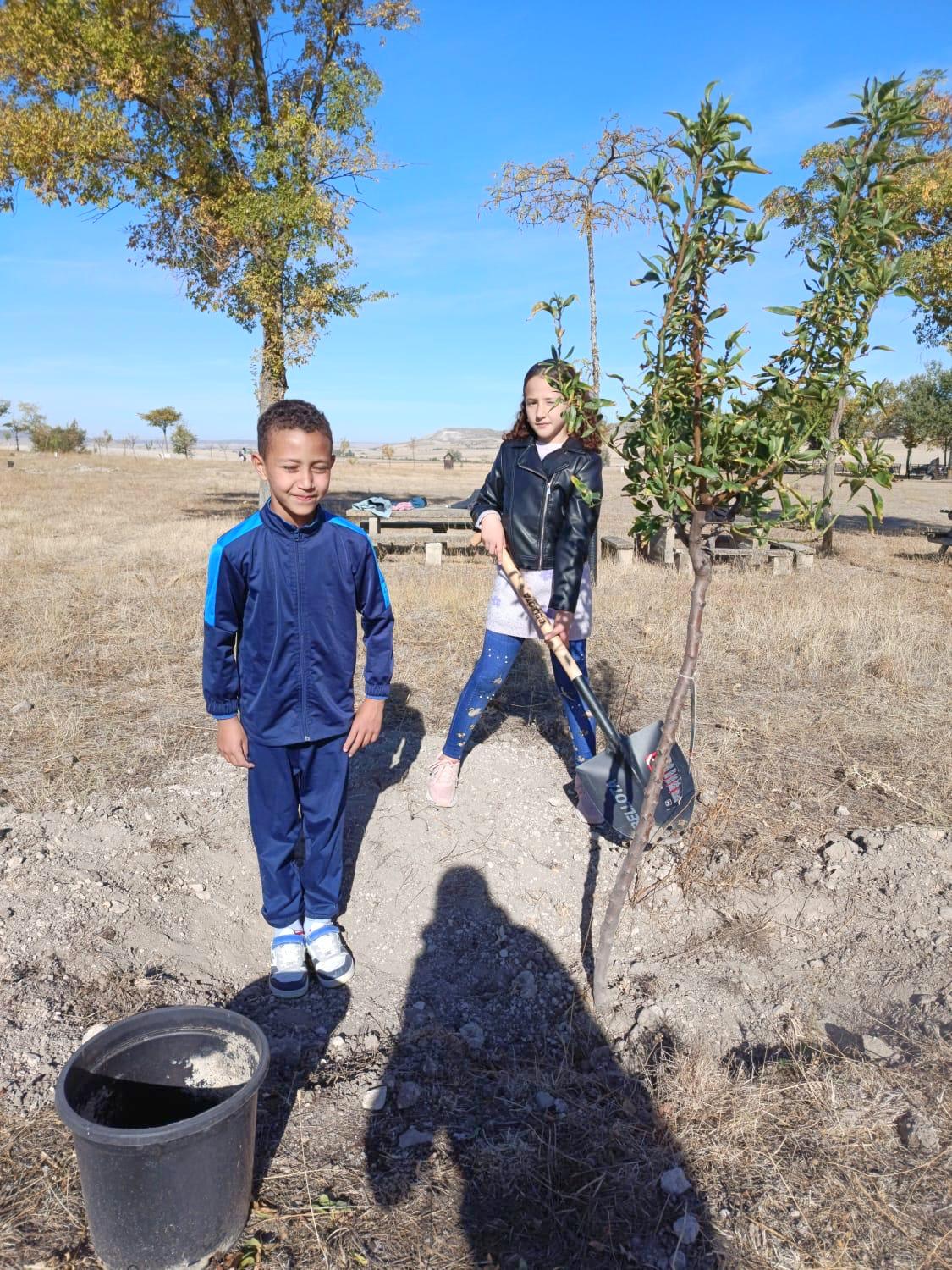 Plantación de Árboles en Baltanás