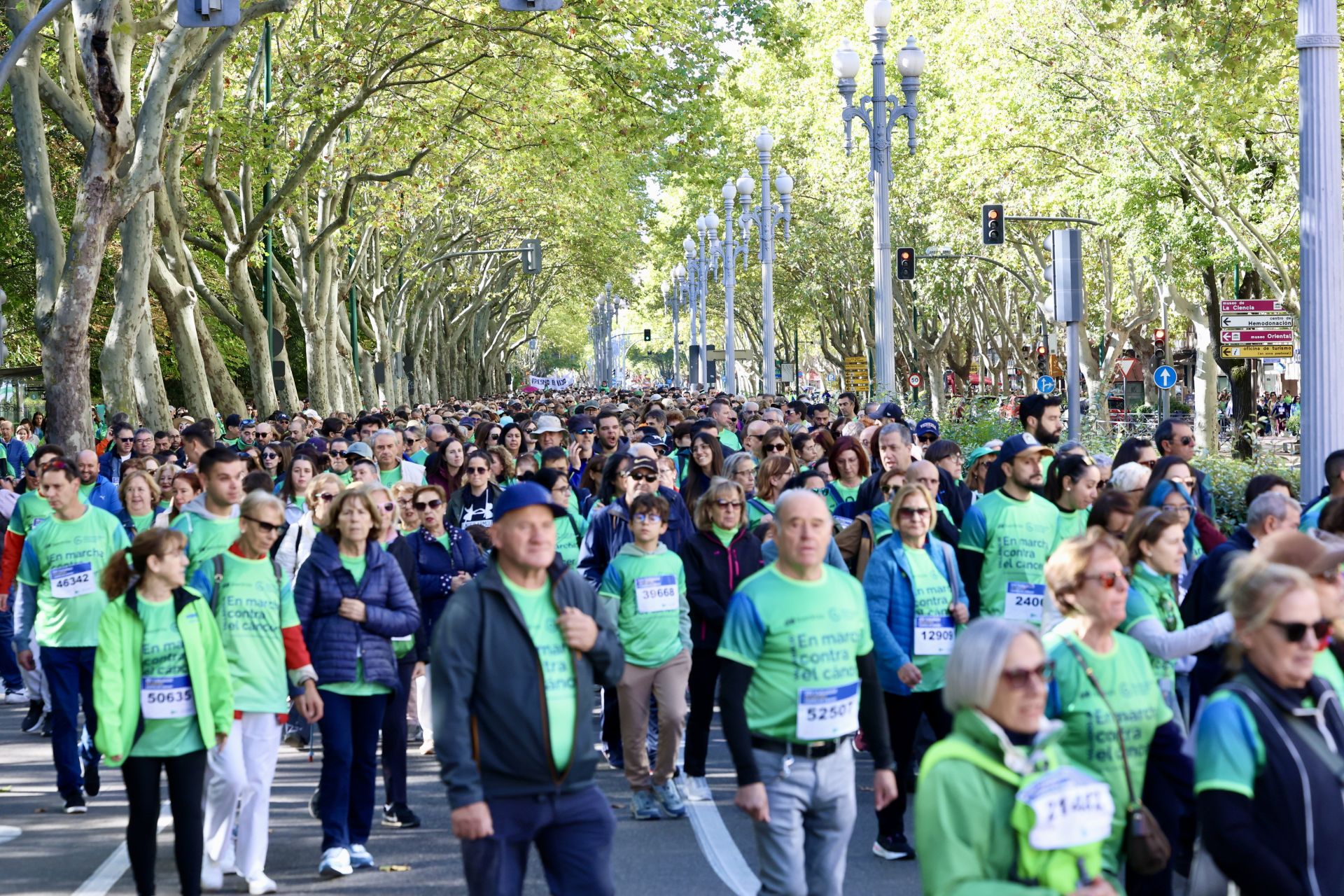 Las imágenes de la Marcha contra el Cáncer 2025
