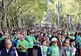 Marcha contra el Cáncer en Valladolid, a su paso por el Paseo de Zorrilla