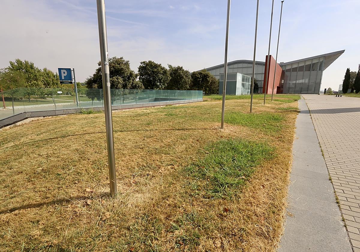 Inmediaciones del Centro Cultural Miguel Delibes.