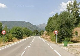 Captura de Google Maps de la zona en la que tuvo lugar el choque entre un vehículo y una osa.