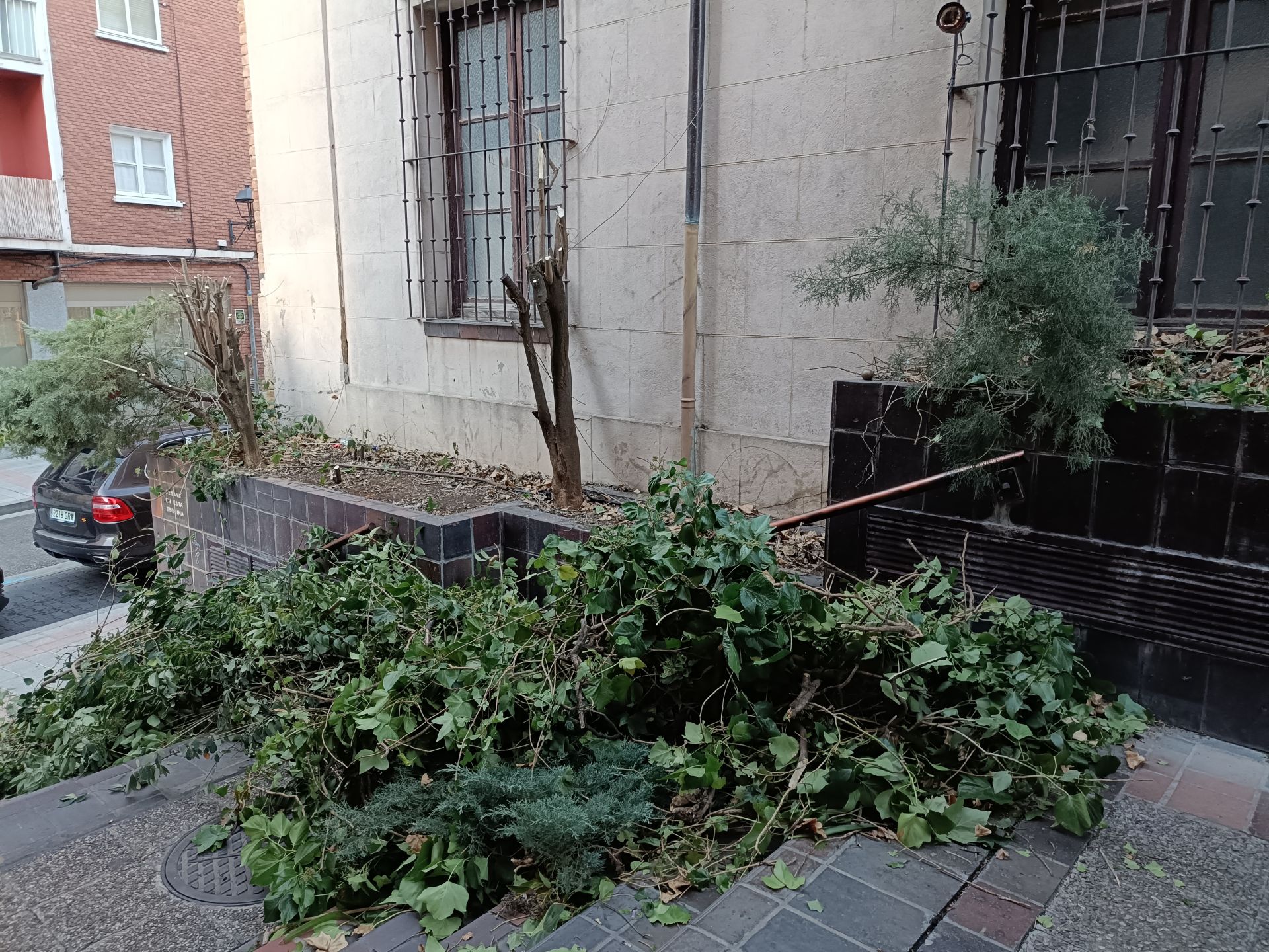 Desaparece el pulmón verde del lateral del Seminario