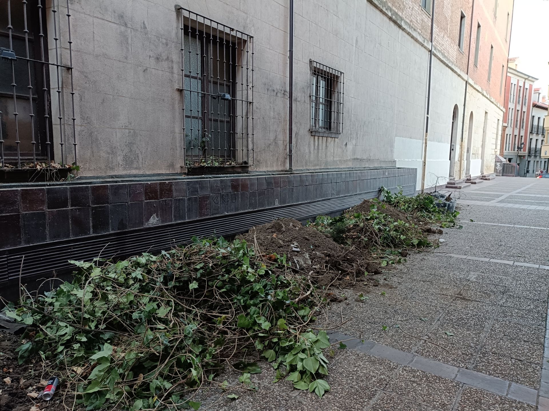 Desaparece el pulmón verde del lateral del Seminario