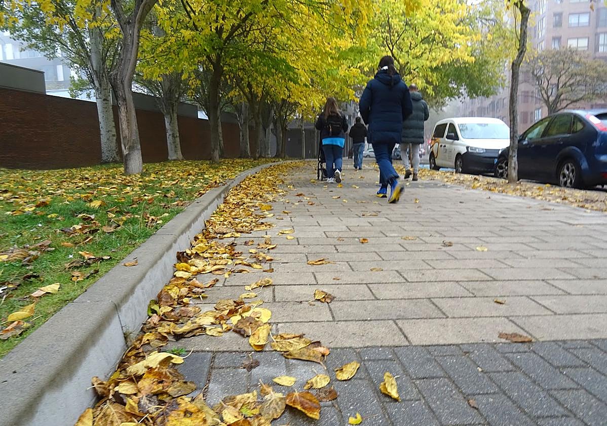 Hojas caídas en la calle Eusebio González Suárez de Parquesol con la niebla con la que se despertó ayer Valladolid.