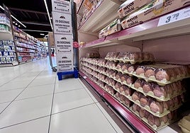 Una estanteria con huevos de un supermercado.