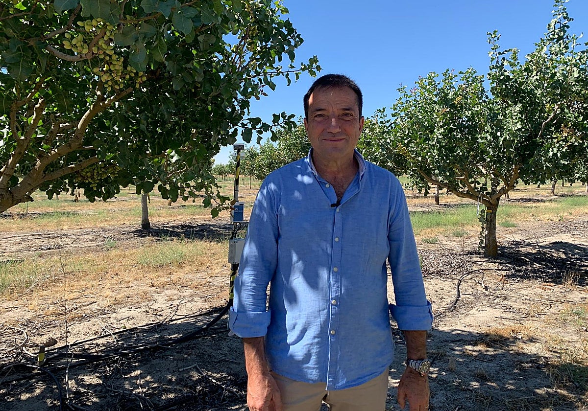 Alfredo Pérez, presidente de Pistacyl