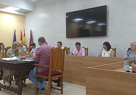 Un momento del pleno municipal.
