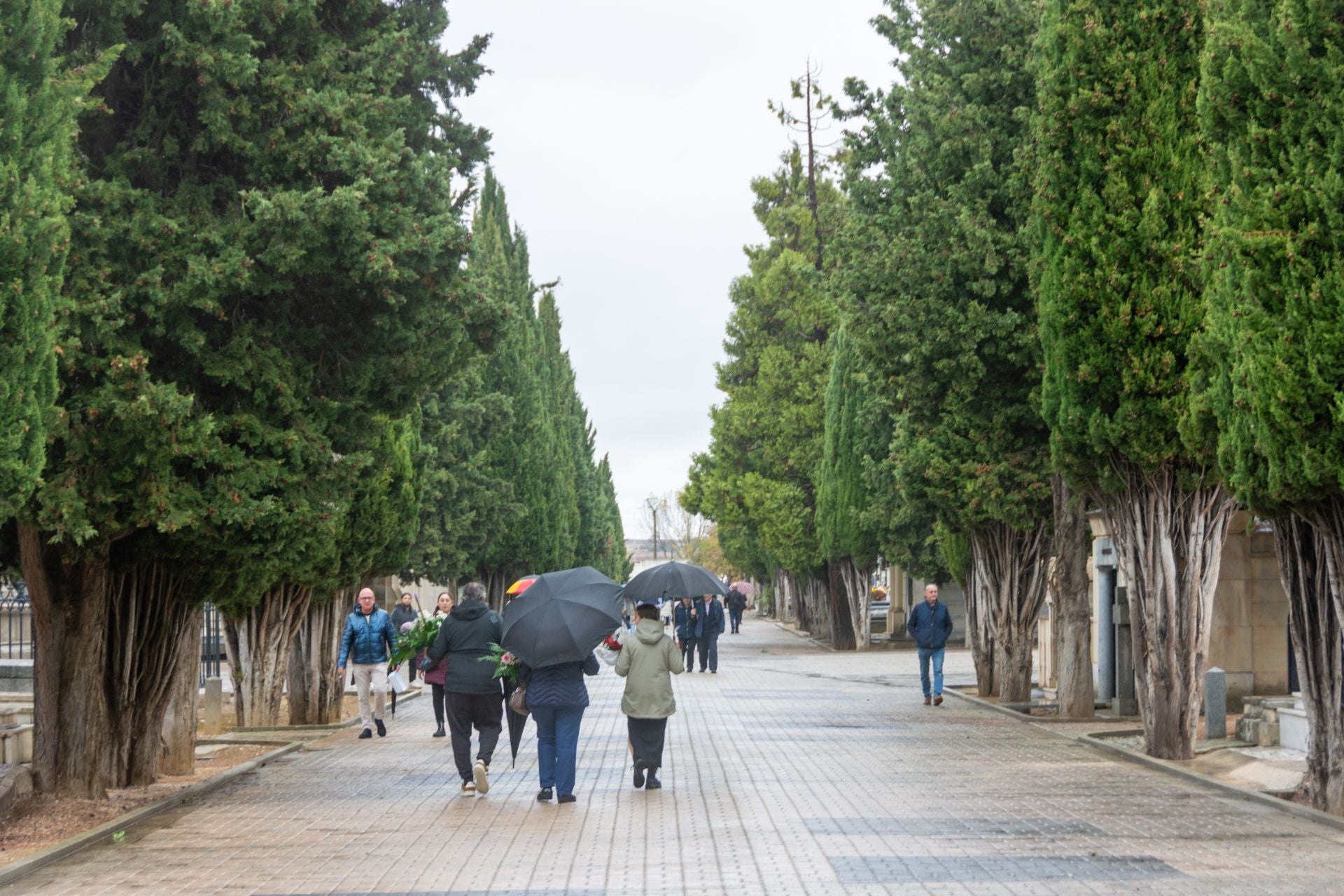 Día de Todos los Santos en Palencia