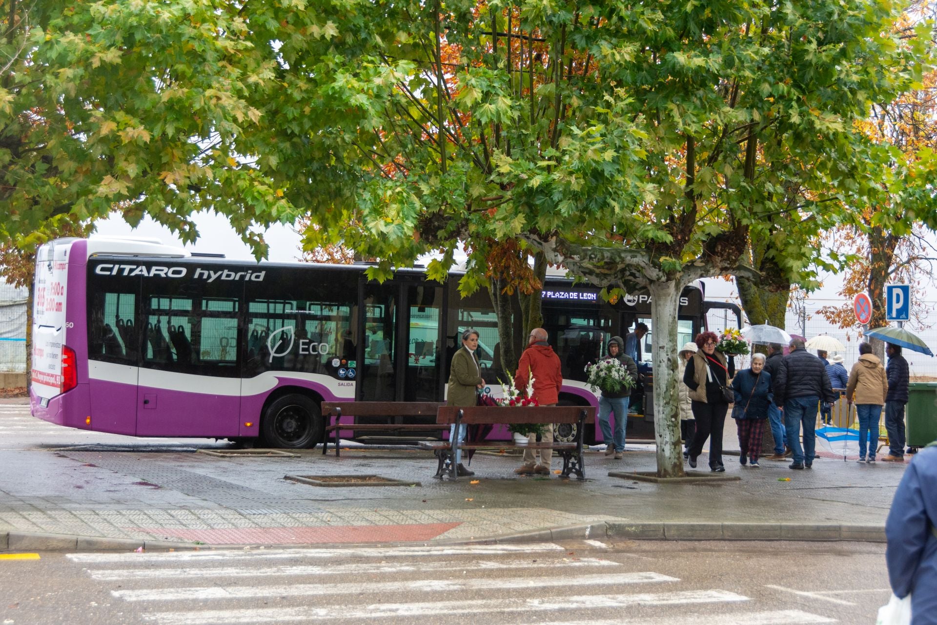 Día de Todos los Santos en Palencia