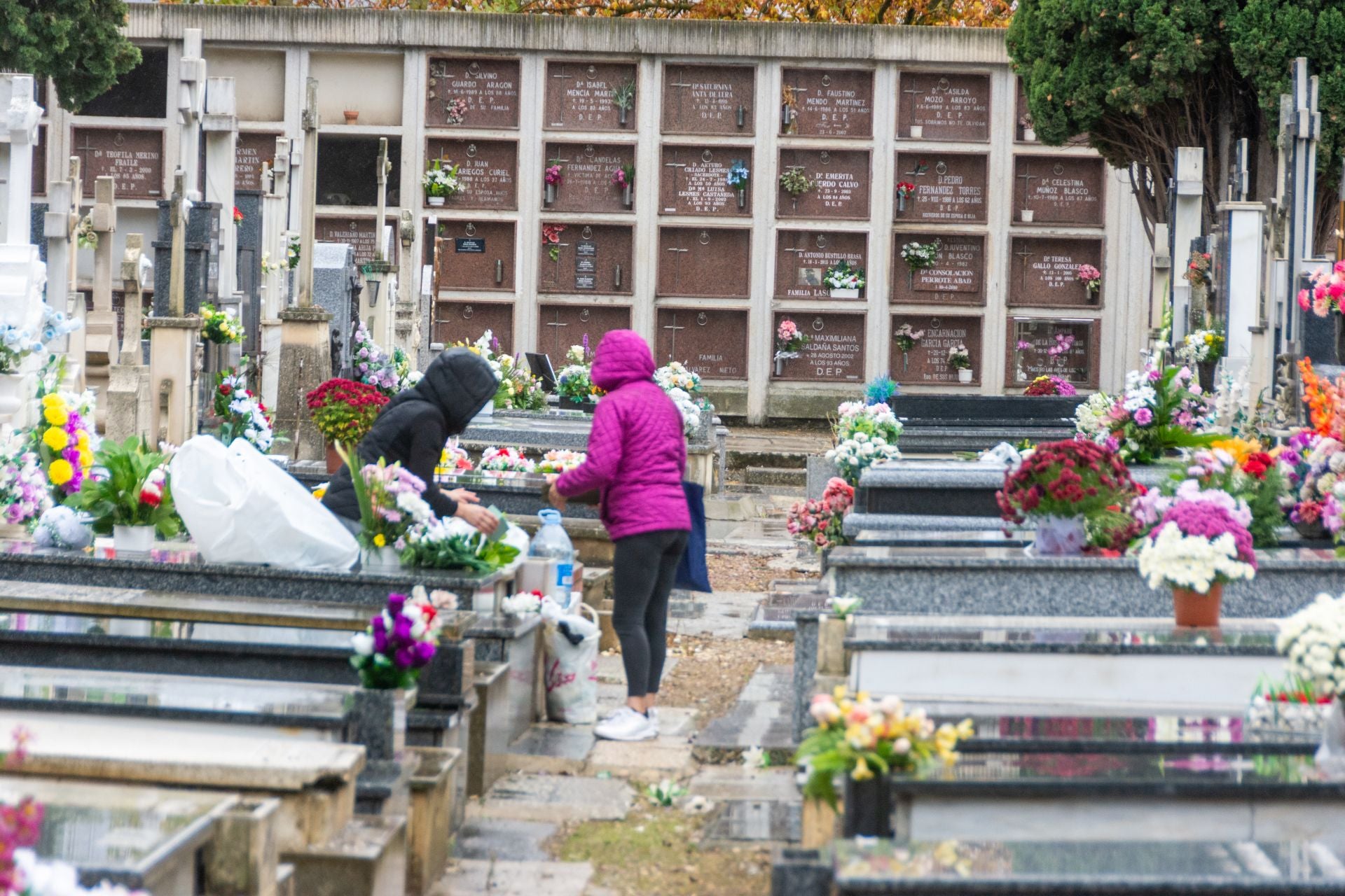 Día de Todos los Santos en Palencia