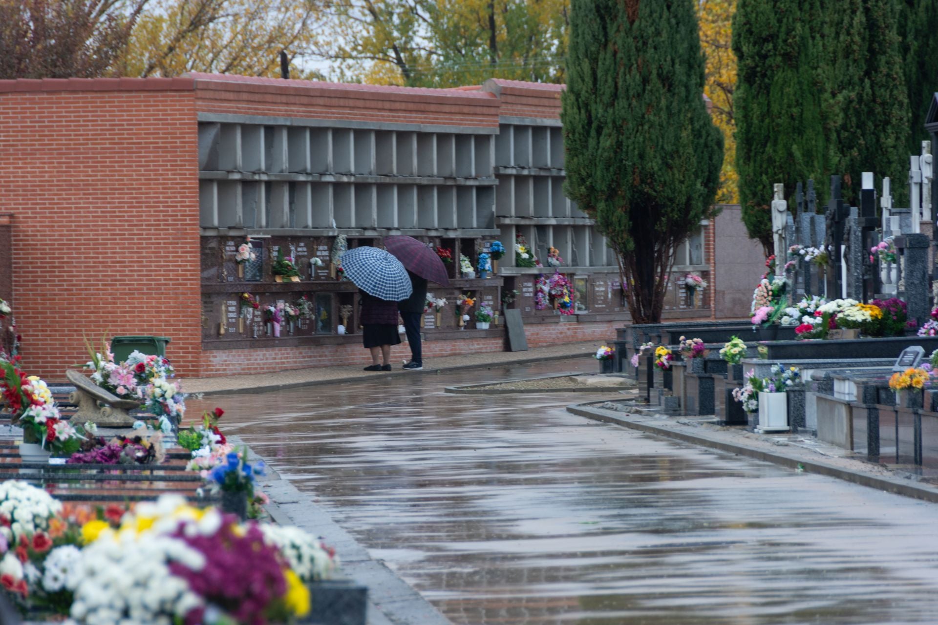 Día de Todos los Santos en Palencia