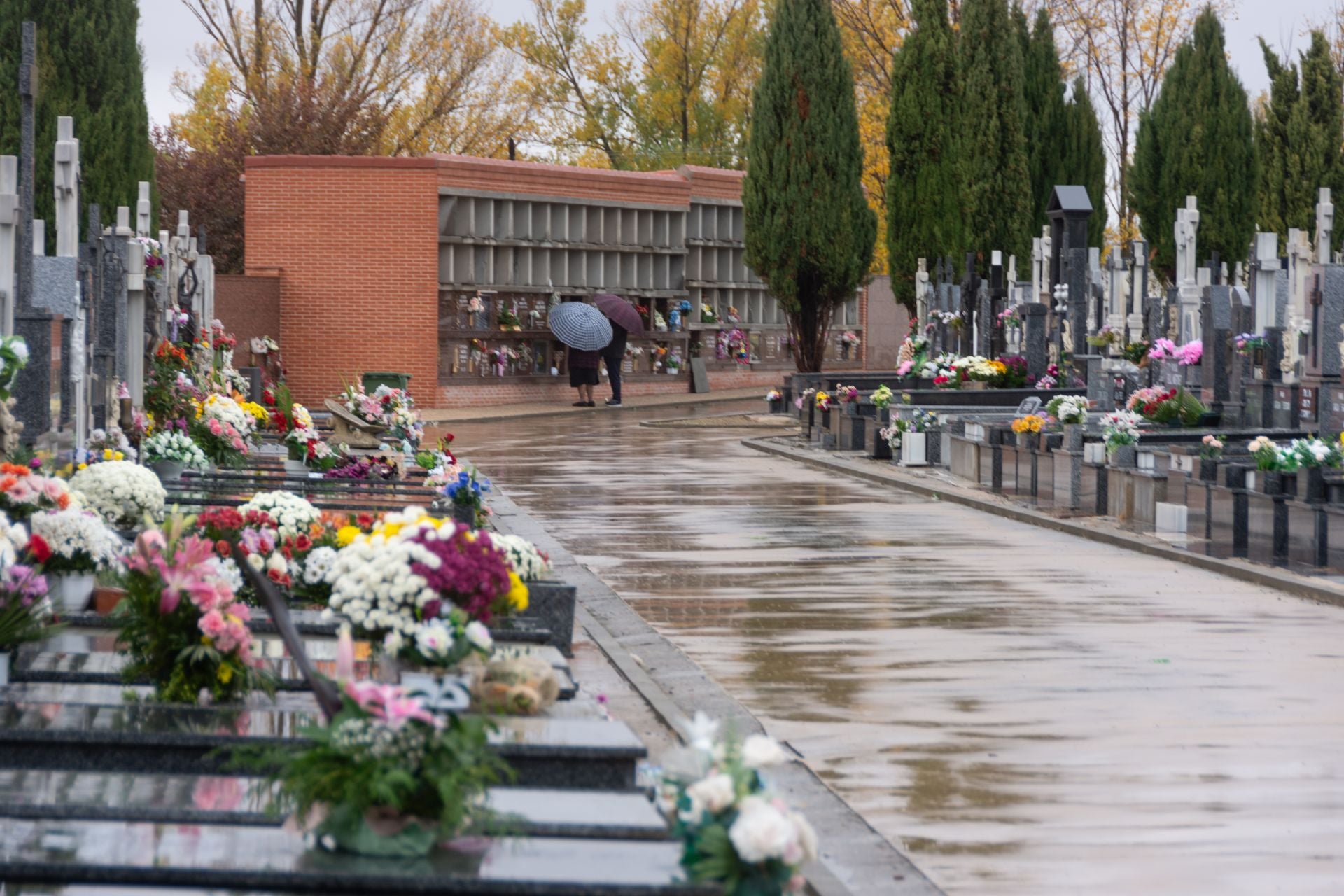 Día de Todos los Santos en Palencia