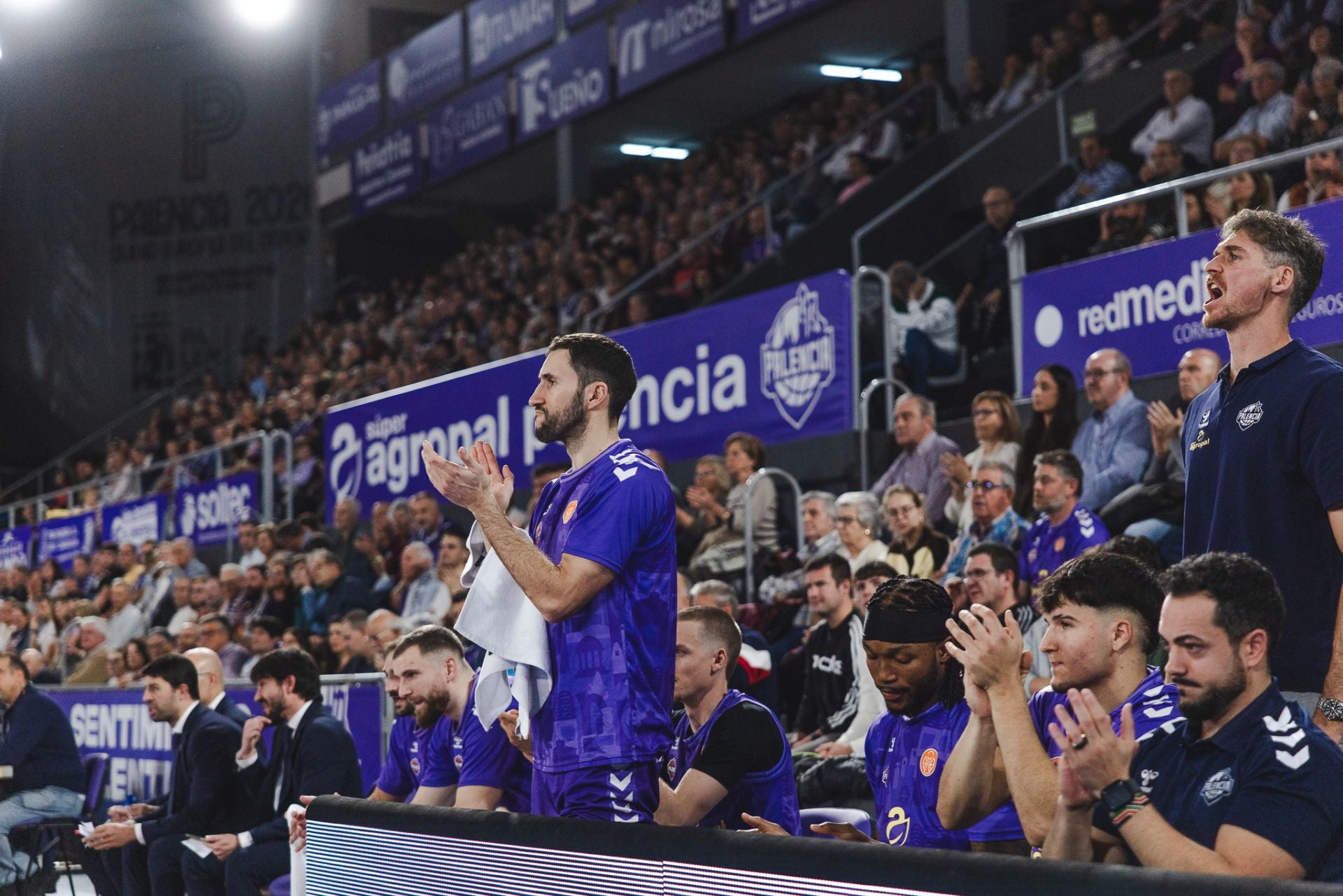 Búscate en las gradas del Súper Agropal Palencia-Alicante