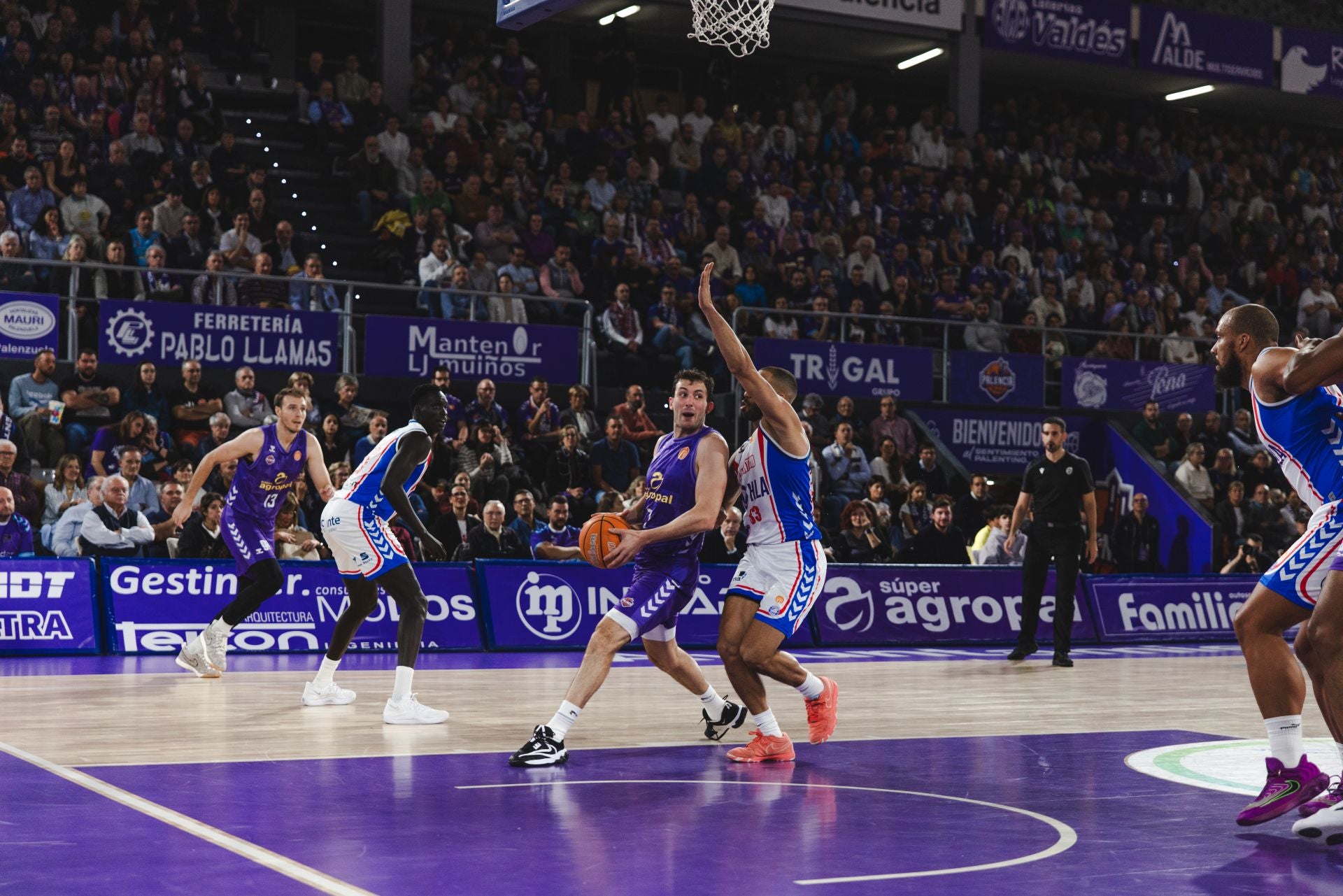 El Súper Agropal cae ante el Alicante