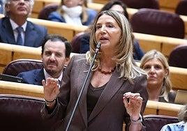 La portavoz del PP en el Senado, Alicia García, durante una intervención en la Cámara Alta este octubre.