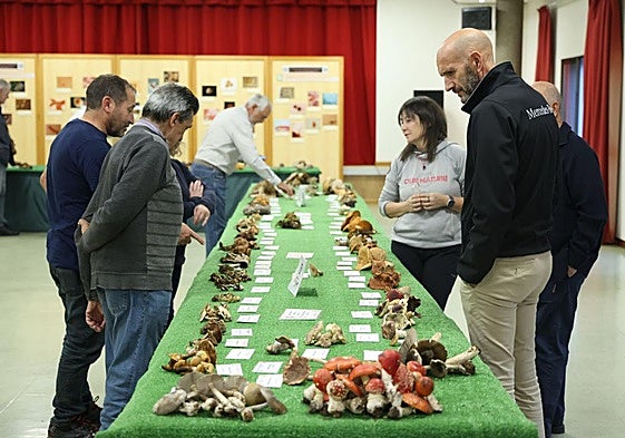 Varias personas contemplan varios de los ejemplares incluidos en la exposición.