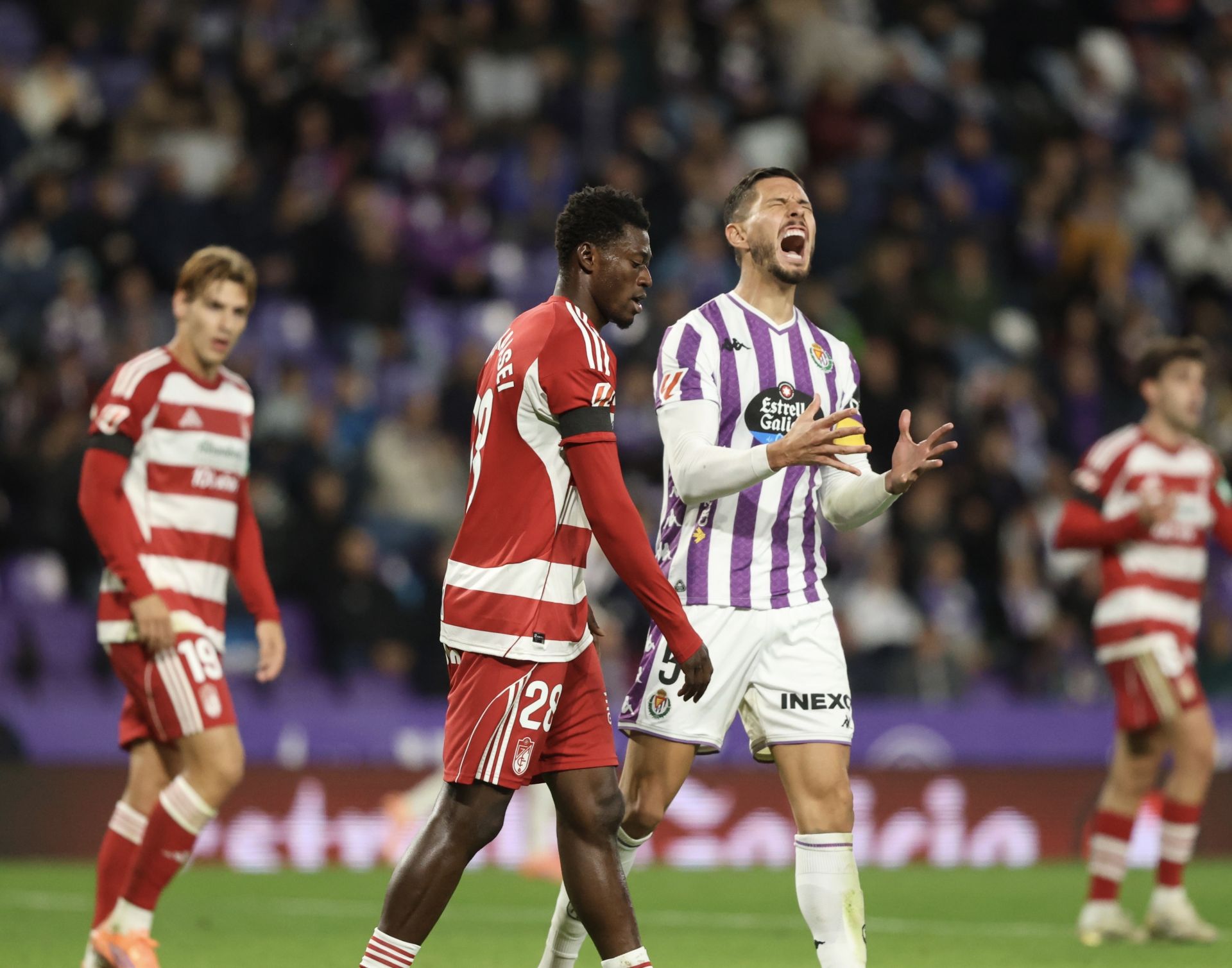 Las imágenes del partido entre el Real Valladolid y el Granada