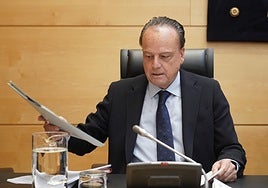 Mario Amilivia, en la comisión.