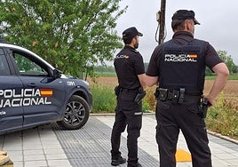 Agentes de la Policía Nacional, en una imagen de archivo.