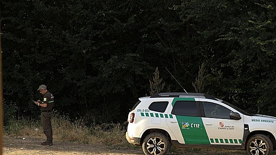 Luz verde a un complemento específico para 1.100 trabajadores de lucha contra incendios