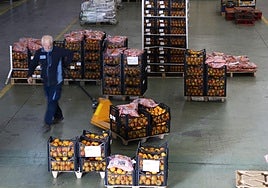 Un voluntario coloca fruta en las naves del Banco de Alimentos.