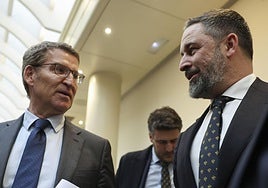 Alberto Núñez Feijóo (PP) y Santiago Abascal (Vox), en una imagen de archivo.