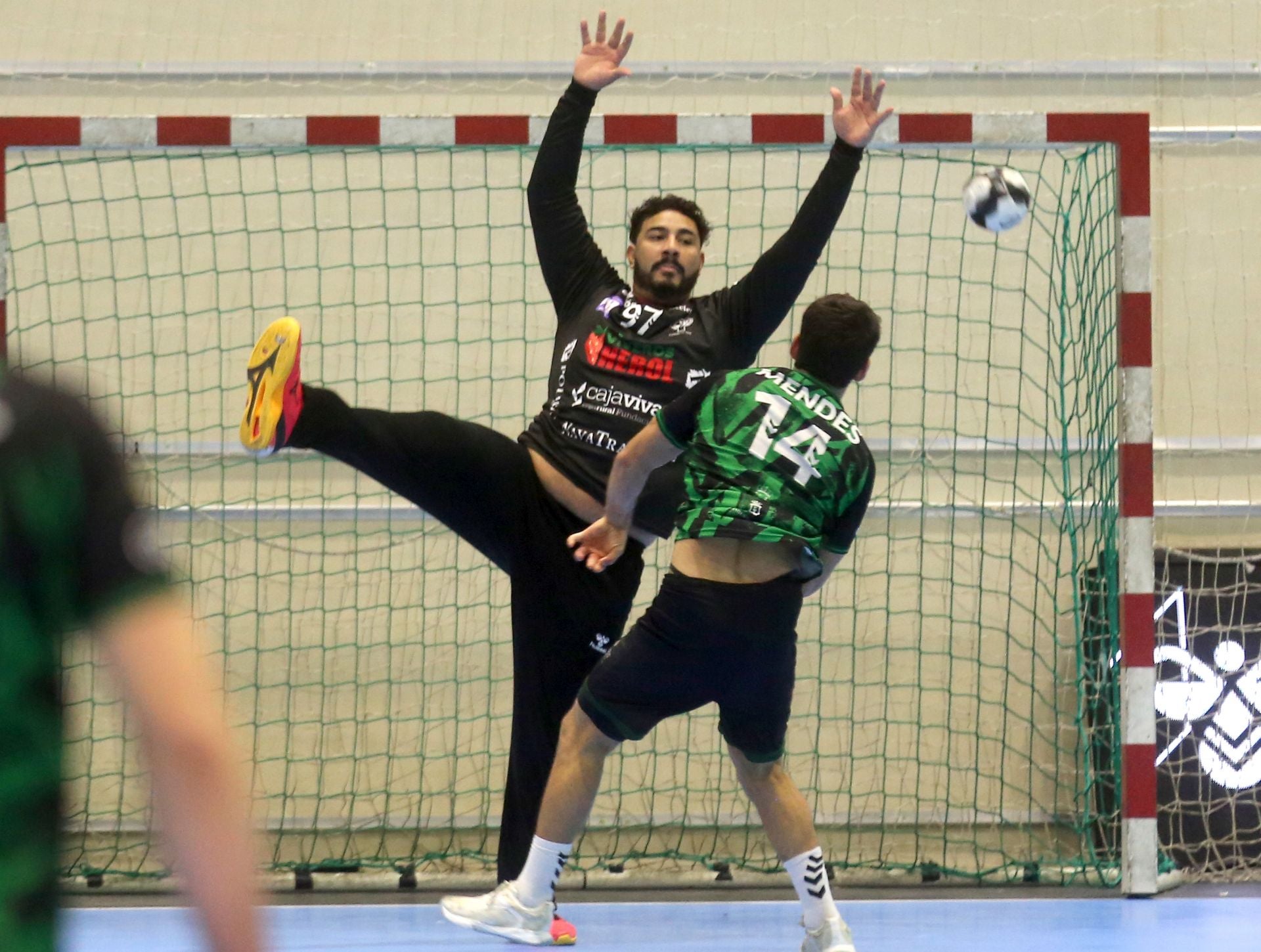 Fotos de la victoria del Balonmano Nava
