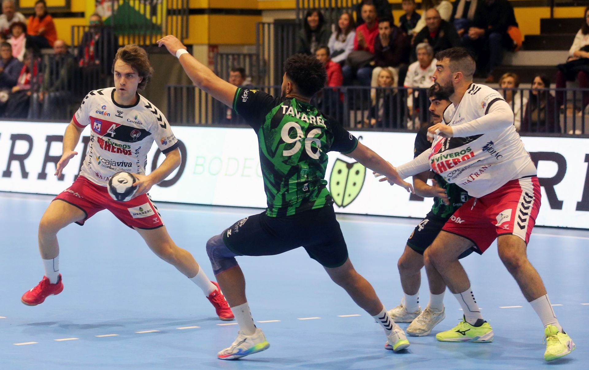 Fotos de la victoria del Balonmano Nava