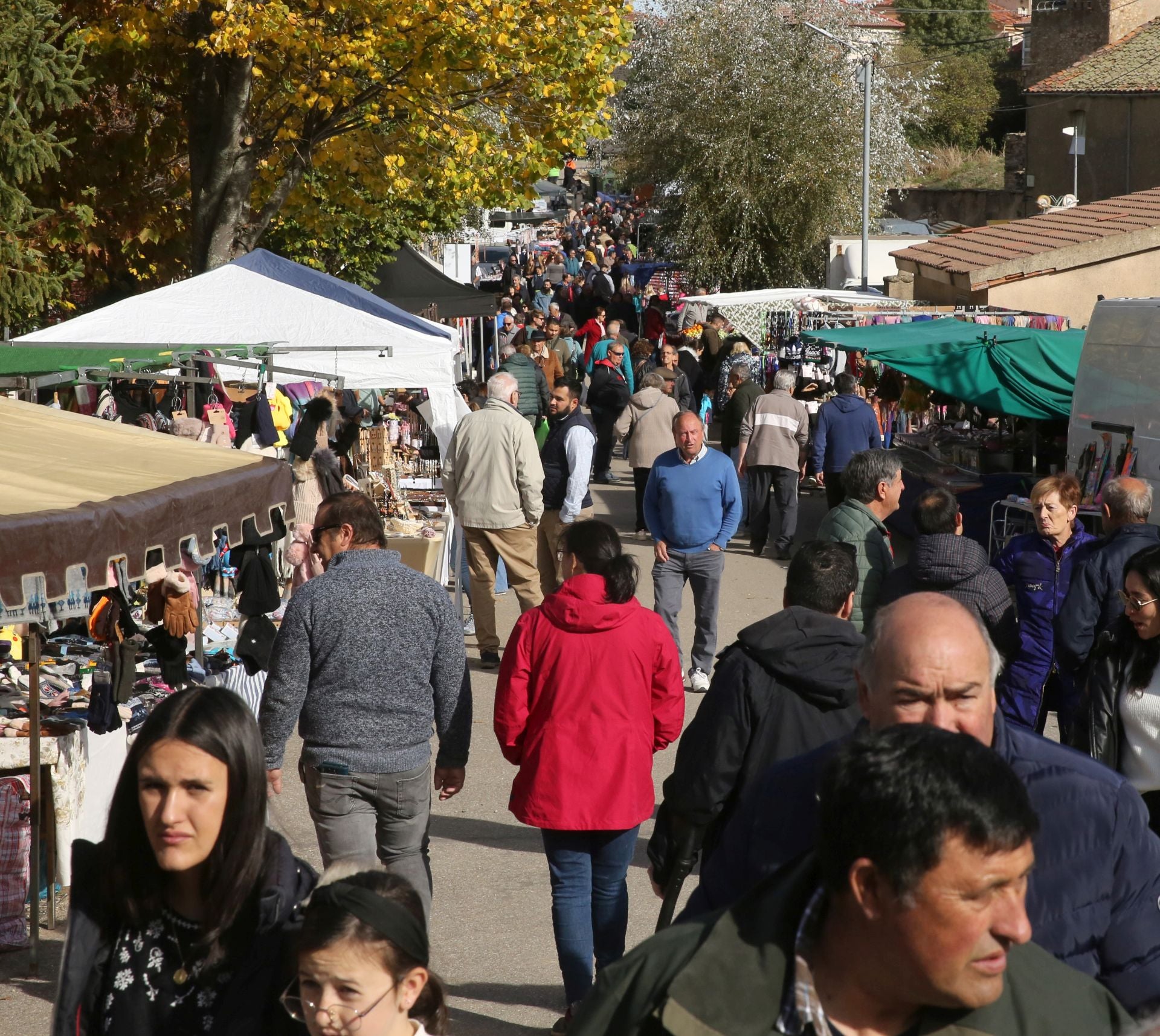 Fotos de la Feria del Ganado de Navafría... sin ganado