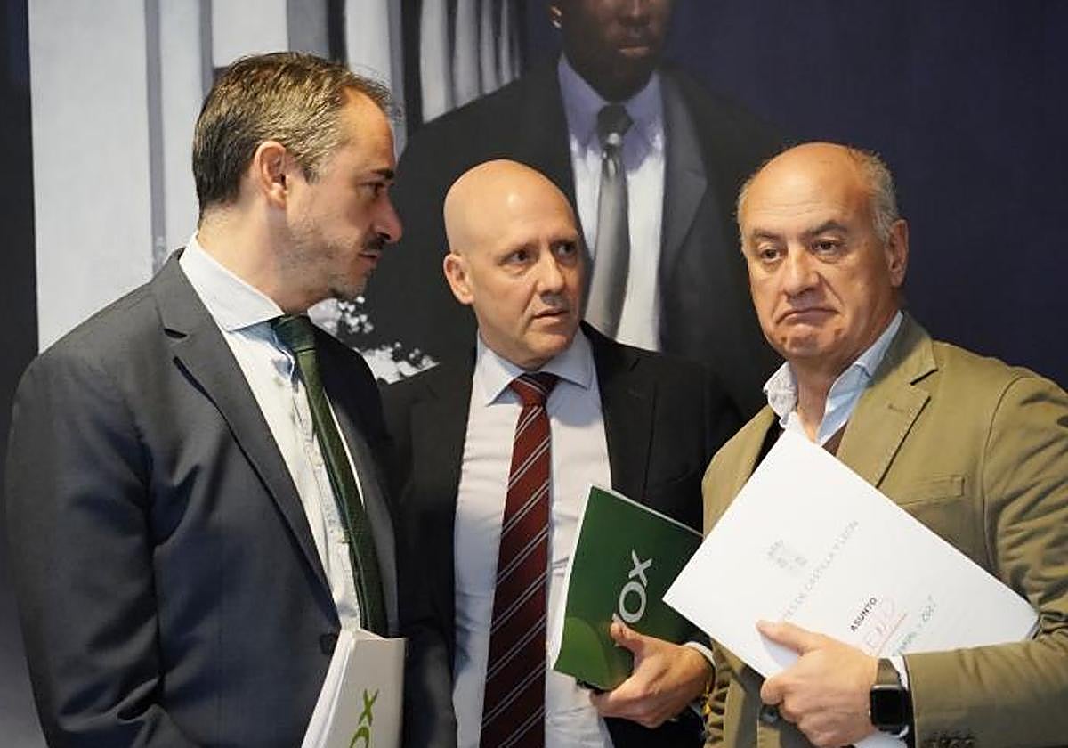 El portavoz adjunto del PP, Miguel Ángel García Nieto (derecha), junto a David Hierro y Carlos Menéndez, de Vox.