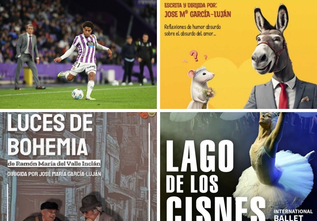 'Luces de bohemia', rugby con la selección, teatro con humor y ballet con 'El lago de los cisnes' este fin de semana