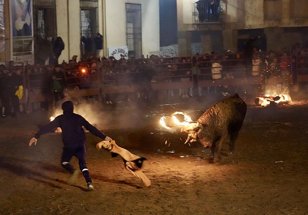 Celebración del Toro Jubilo en Medinaceli en años anteriores.