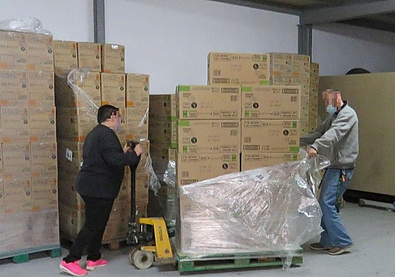 Fundación Hospitalarias Palencia, inclusión y empleo