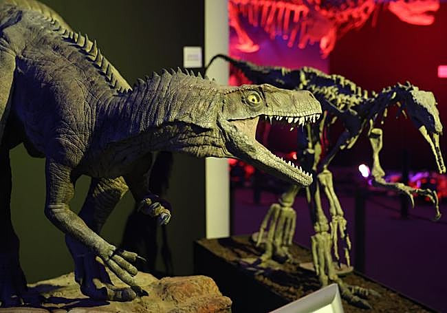 Una de las piezas que forman parte de la exposición.