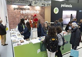 Palencia romana se actualiza en Intur