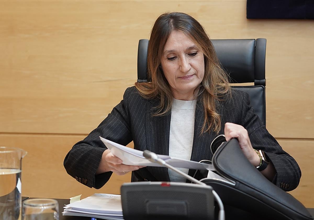 La consejera de Educación, Rocío Lucas, este viernes en las Cortes.