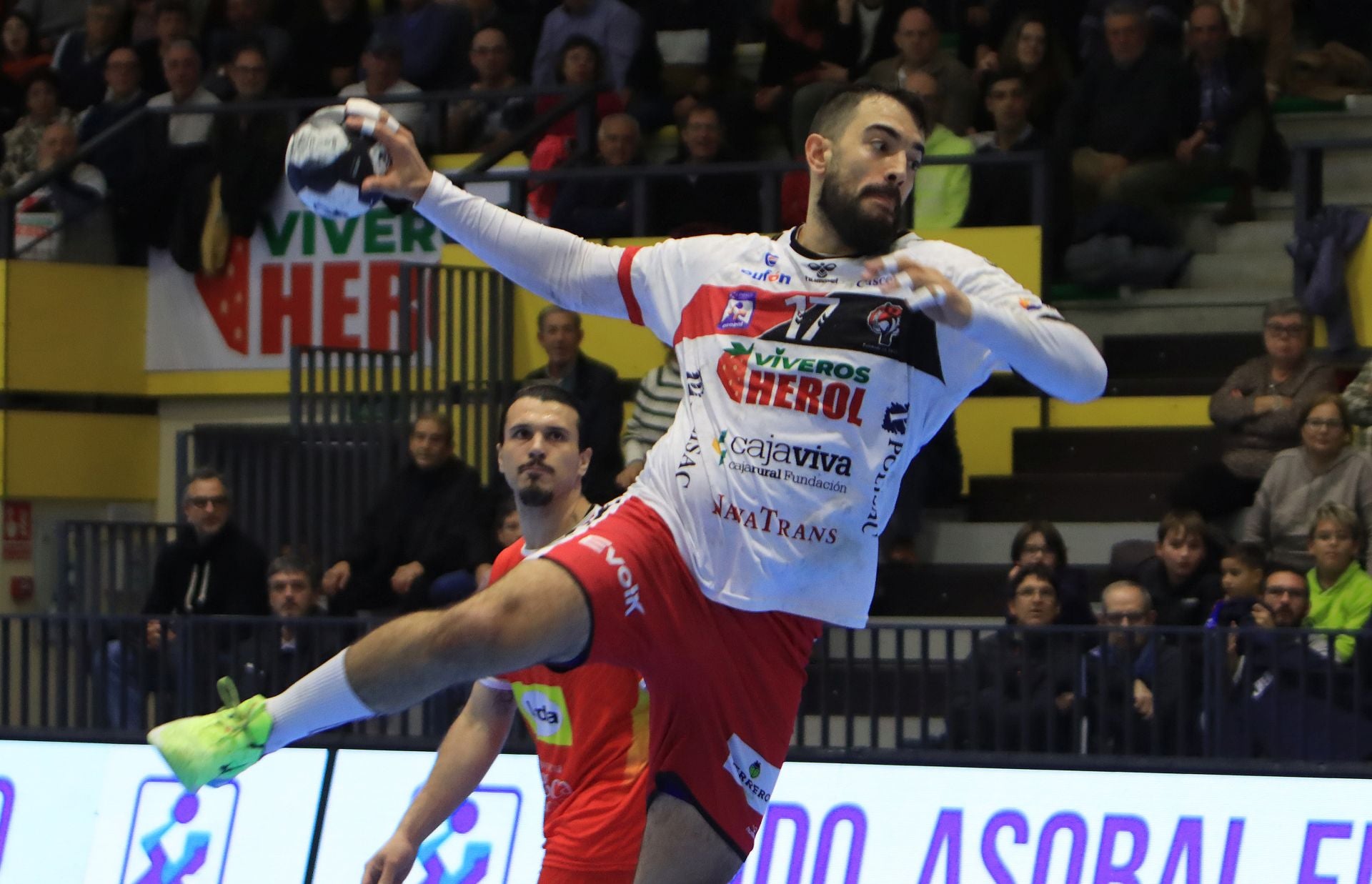 Fotos de la victoria del Balonmano Nava