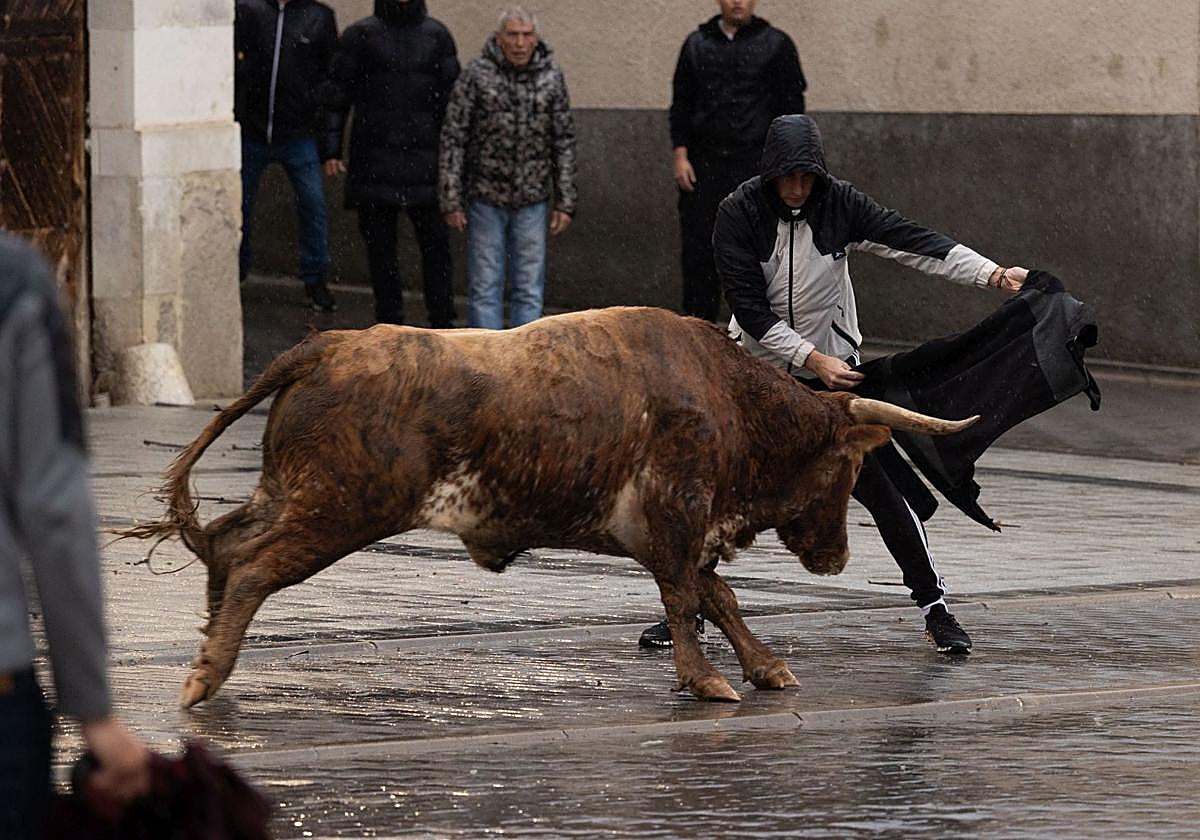 La lluvia provoca un susto en el encierro de Traspinedo