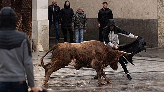 Un aficionado cita a un toro, este sábado en Traspinedo.